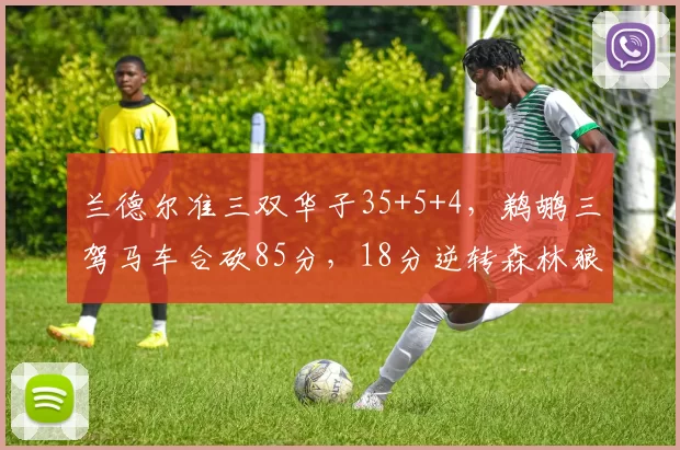 兰德尔准三双华子35+5+4，鹈鹕三驾马车合砍85分，18分逆转森林狼