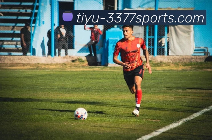 3377体育品牌故事