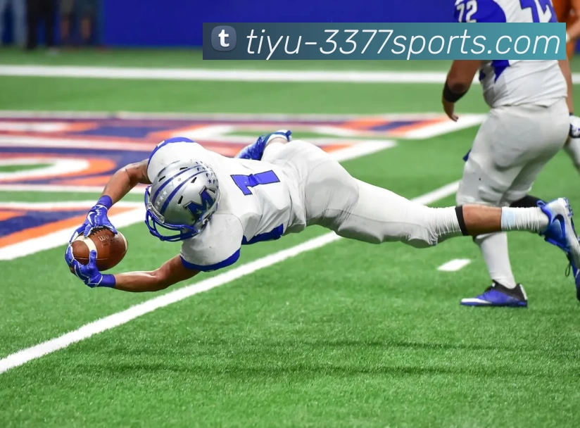 3377体育服务体系