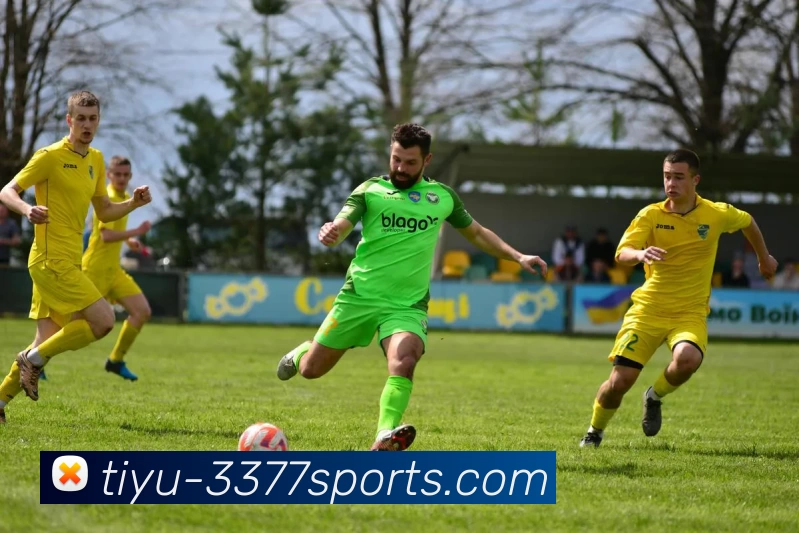 多媒体互动体验