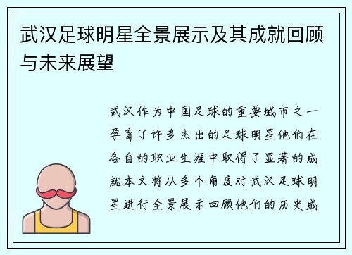 武汉足球明星全景展示及其成就回顾与未来展望